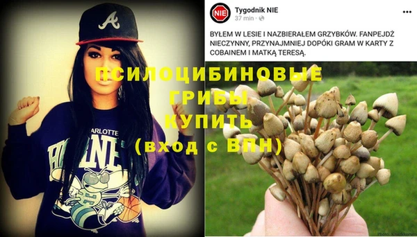 молекула духа Аркадак