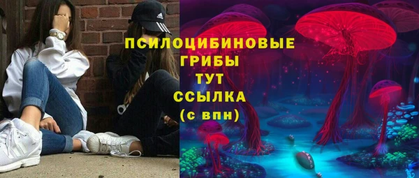 трава Елабуга