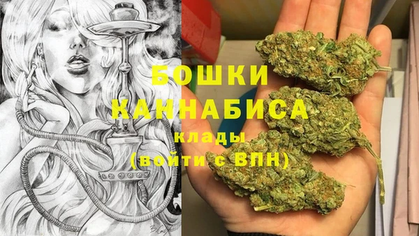 молекула духа Аркадак
